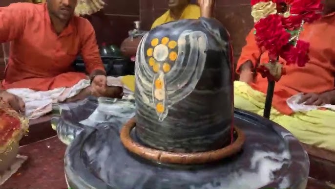 Customized Remedy Pooja